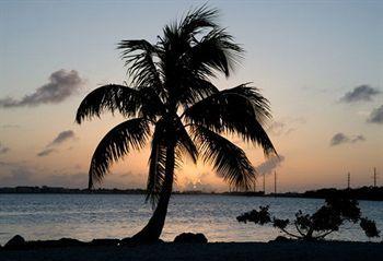 Conch Key Cottages