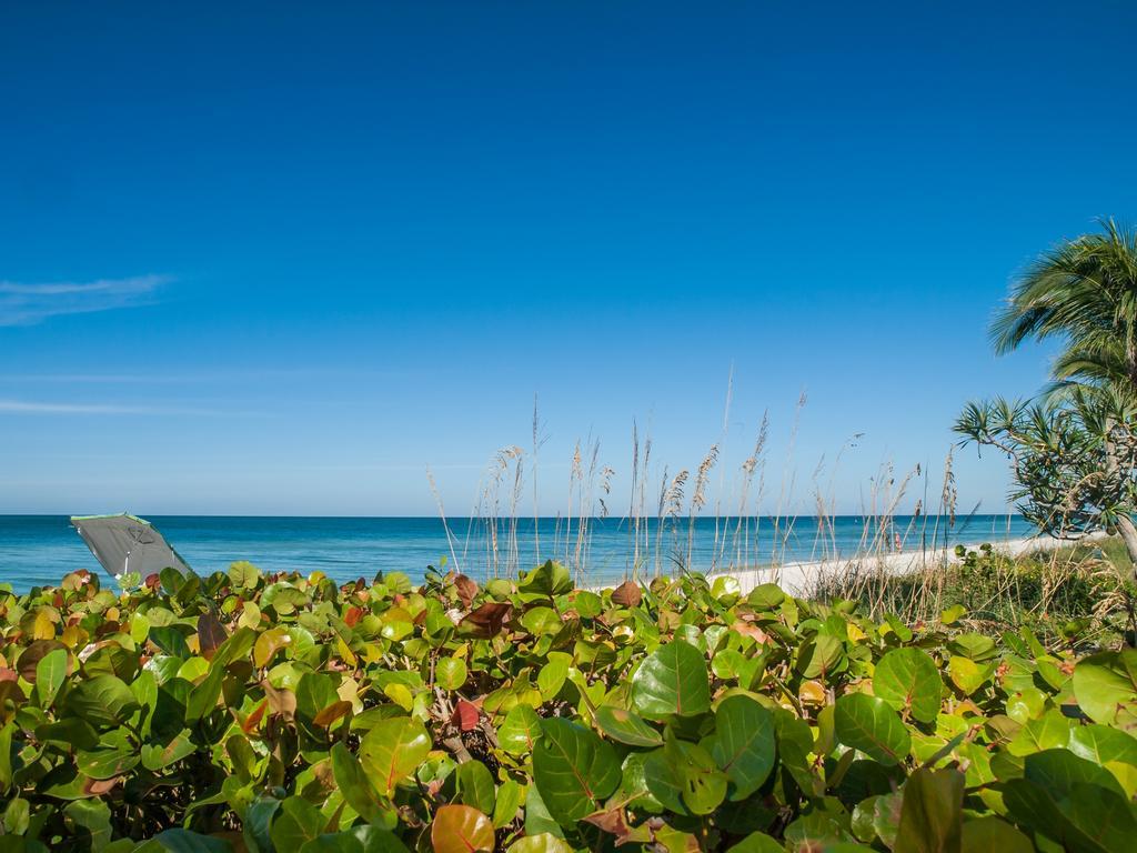 Kings Crown Florida
