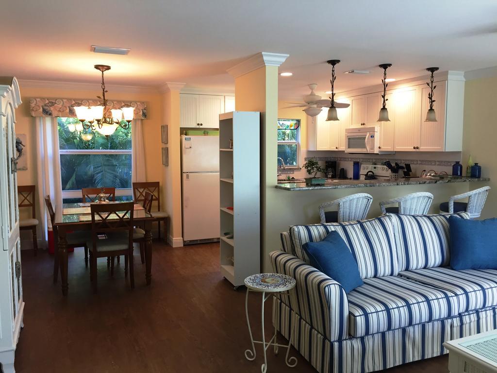 Sea Shells Of Apartment