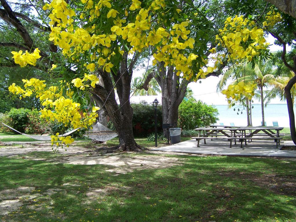 Inn Rock Reef Key Largo