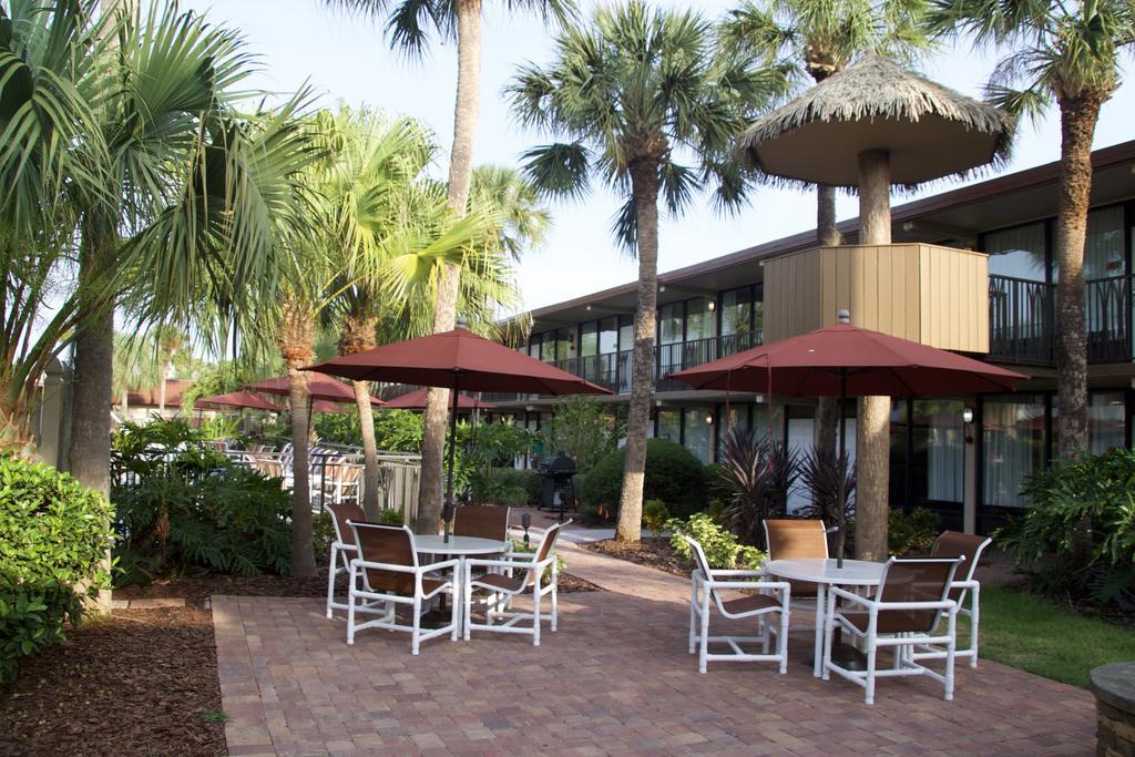 Hotel Magic Tree