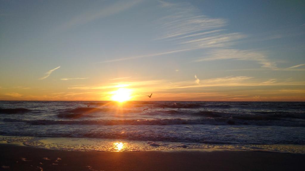 The Cottages At Madeira Beach *