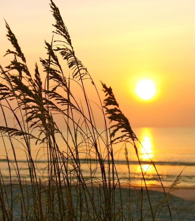 Ocean Coast At The Amelia Island Fernandina Beach