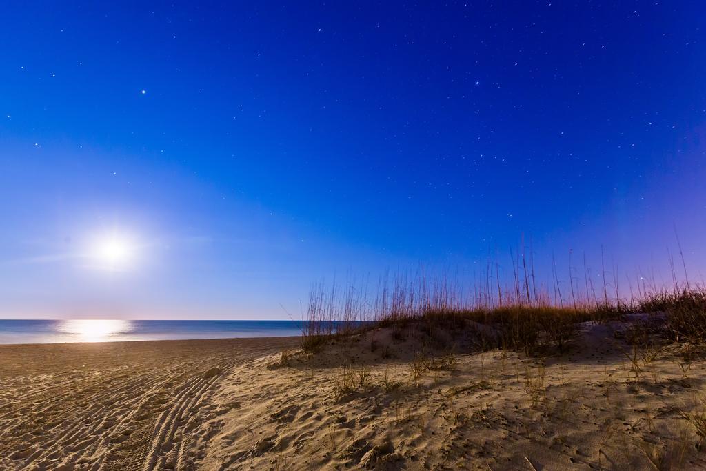 Ocean Coast At The Amelia Island