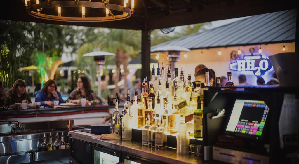 Hollander - Downtown St. Petersburg