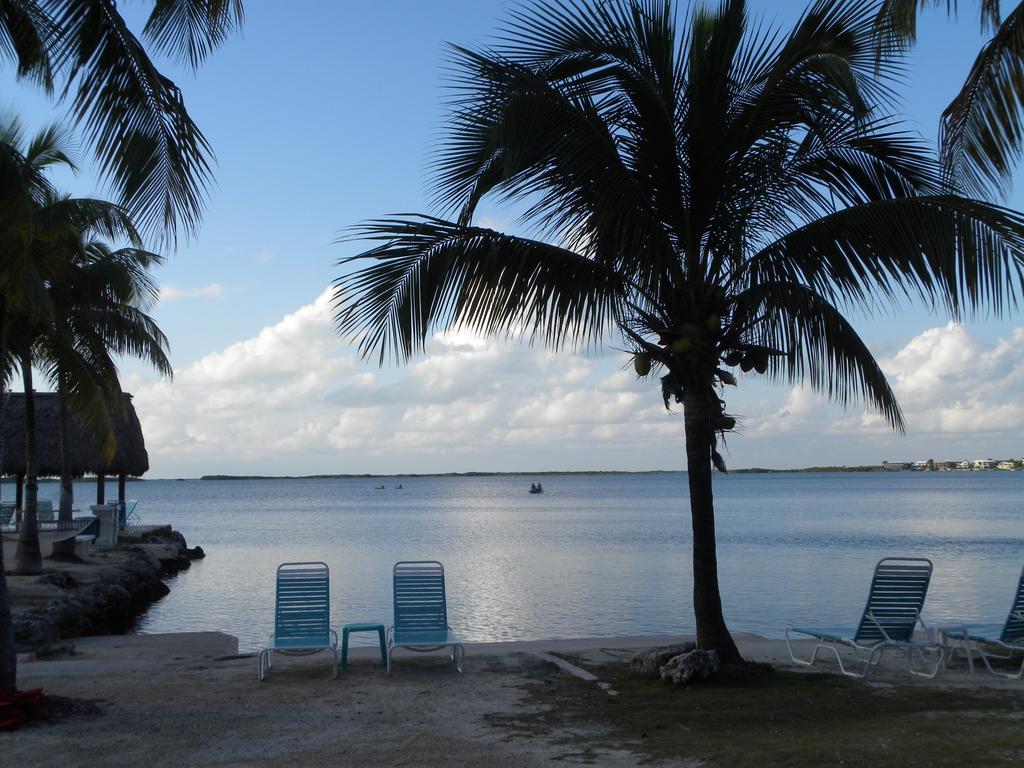 Inn Rock Reef