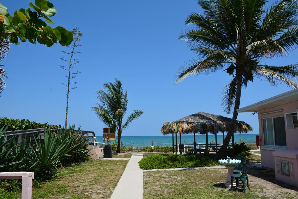 Oceanfront Sea Scape