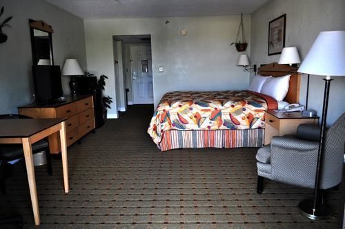 Hotel Vista Tarpon Palm Harbor