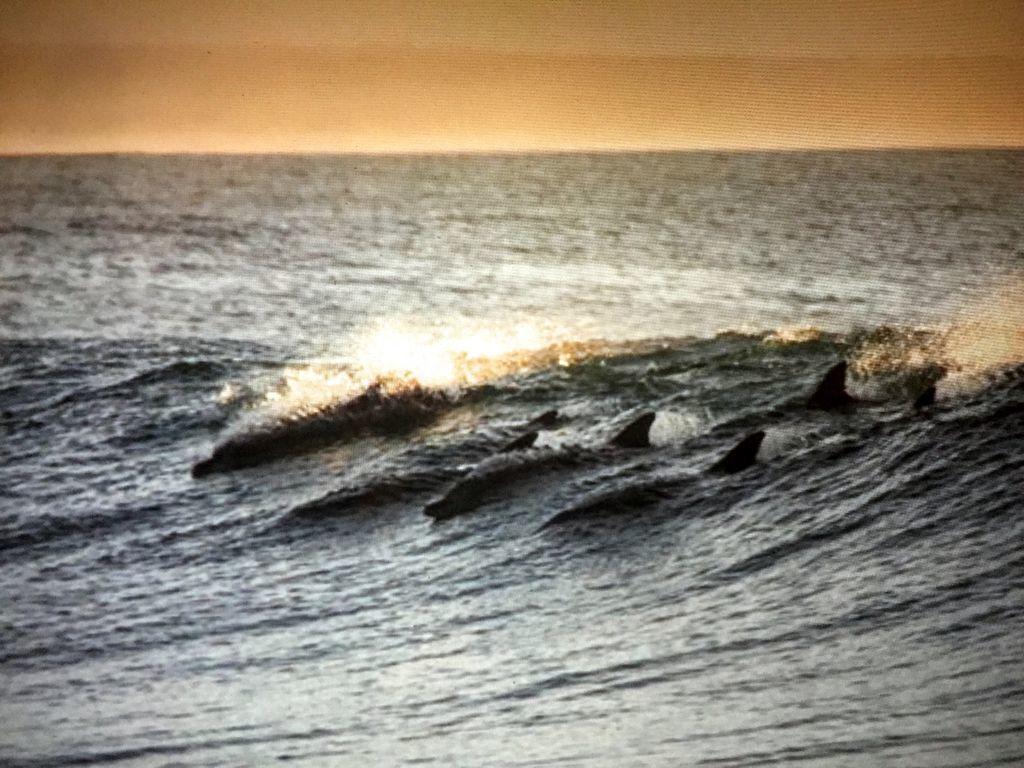 Amelia Island Oceanfront * Amelia City