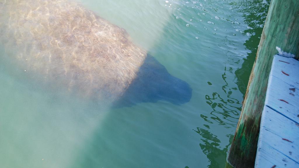 Bonita Beach 2*