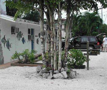Conch On Motel 2*