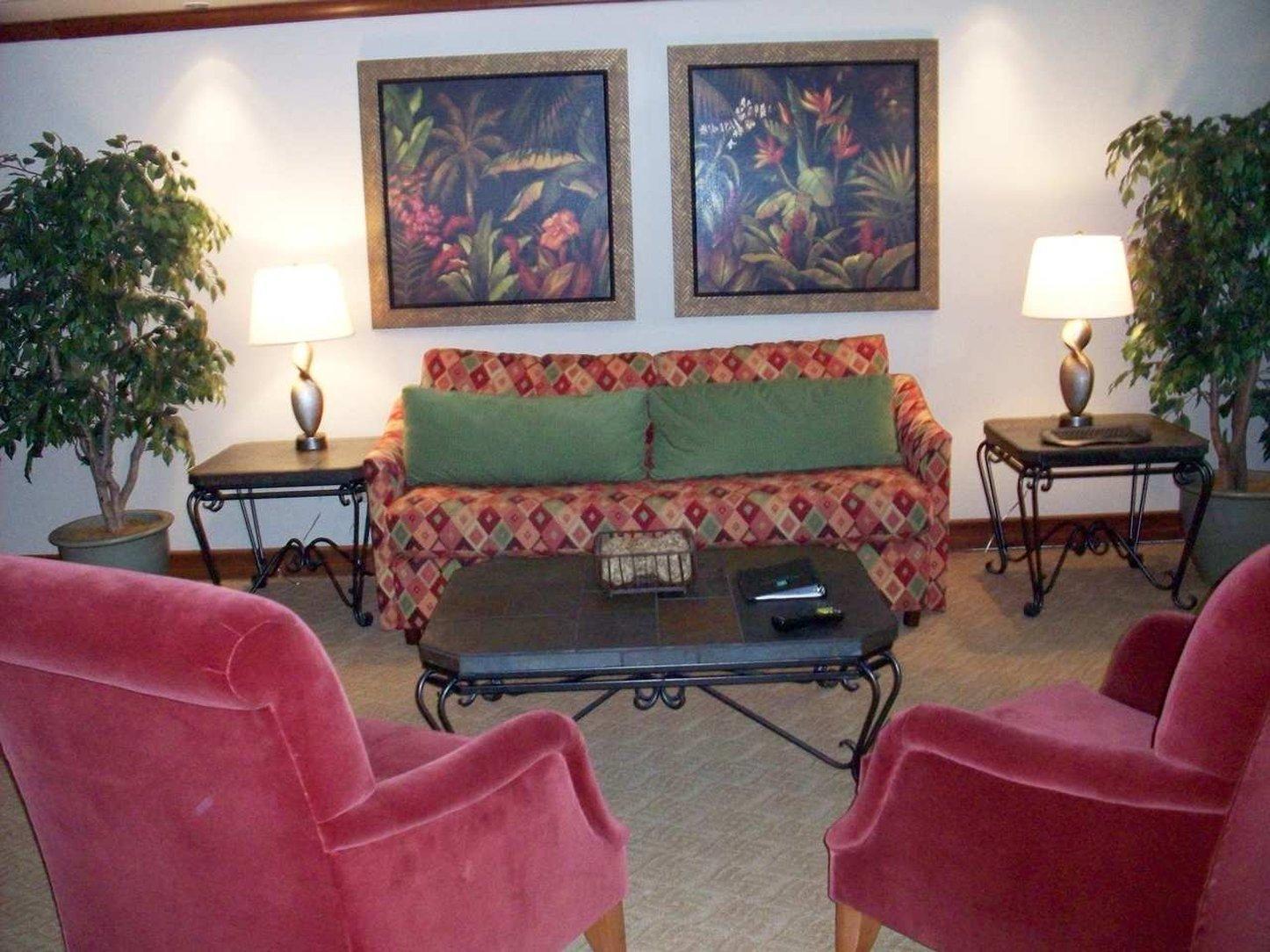 Embassy By Hilton Usf Near Busch Gardens 3* Tampa