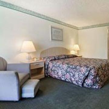 Motel Super 8 By Wyndham Clearwater/us Hwy 19 N Clearwater