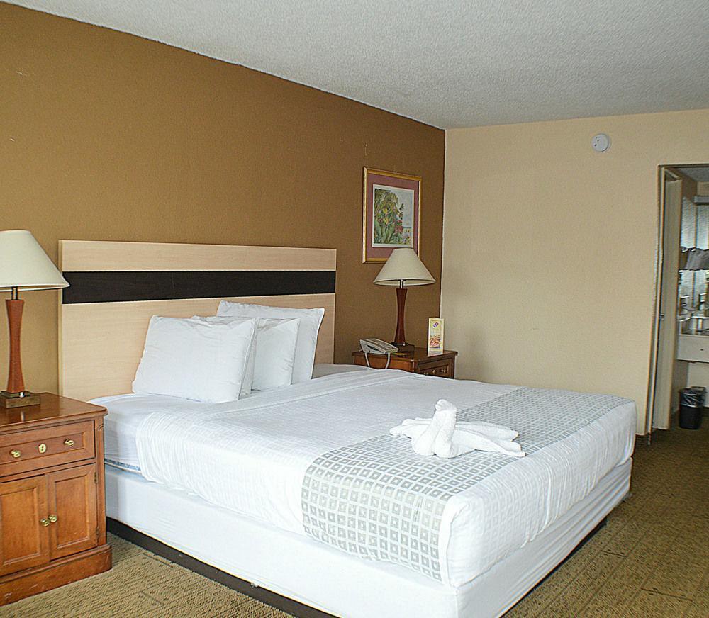 Hotel Roomba & At Old Town