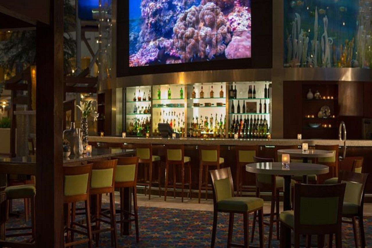 Renaissance Orlando At Seaworld Resort 4*