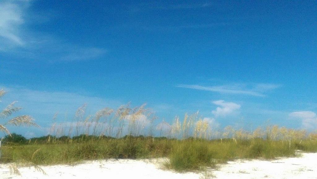 Pag Beachhouse St. Pete Beach