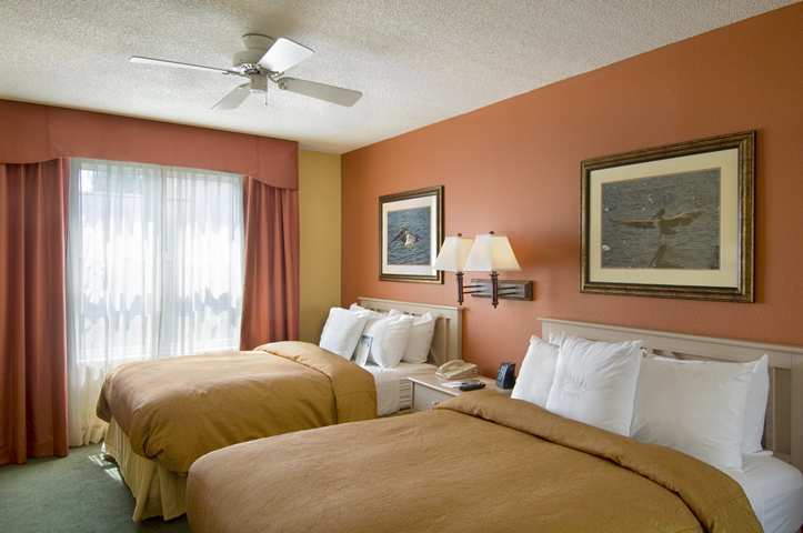 Hotel Homewood By Hilton Mary Orlando North Lake Mary