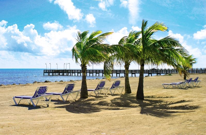 Islander Islamorada