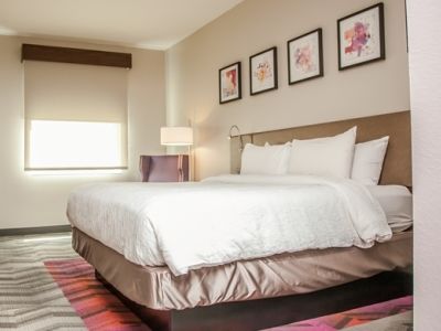 Hilton Garden Tampa Suncoast Parkway