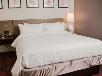 Hotel Hilton Garden Tampa Suncoast Parkway