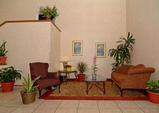 Spot X Tampa - By The Red Collection 3* Wesley Chapel
