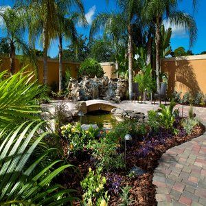 Hotel Courtyard Tampa Oldsmar