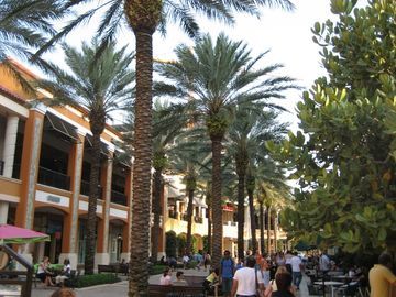 Hotel Doubletree By Hilton West Palm Airport West Palm Beach