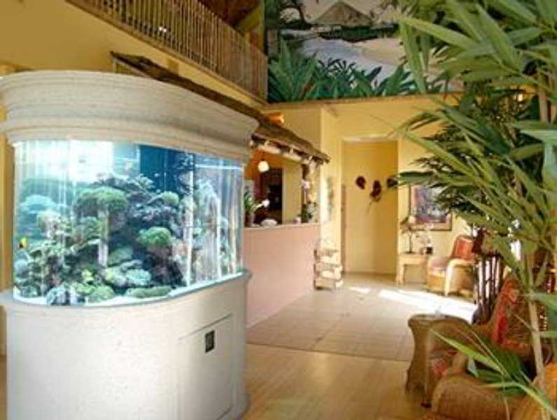 Westgate Cocoa