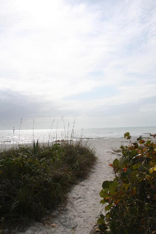 Sea Shells Of * Sanibel