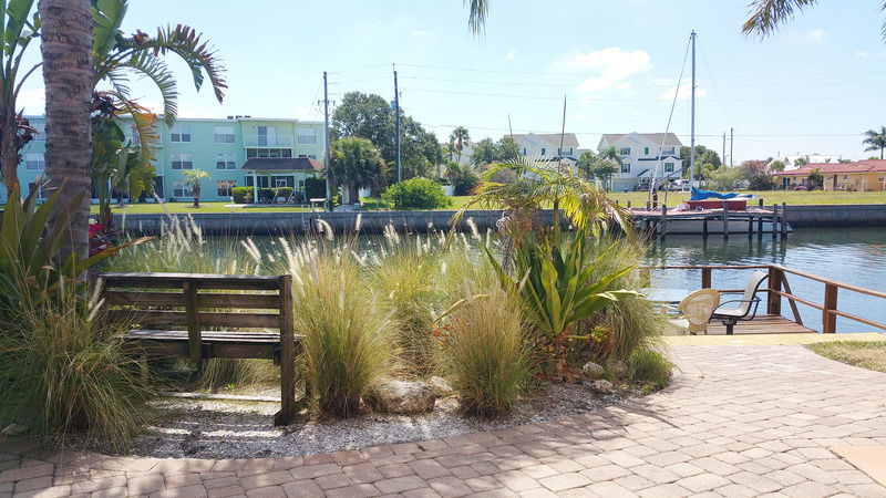 Coconut Of Hotel Dunedin