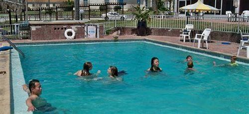 Roy - Hotel Winter Haven