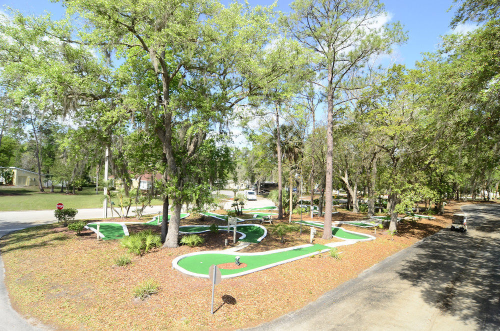 Sherwood Forest Rv Hotel