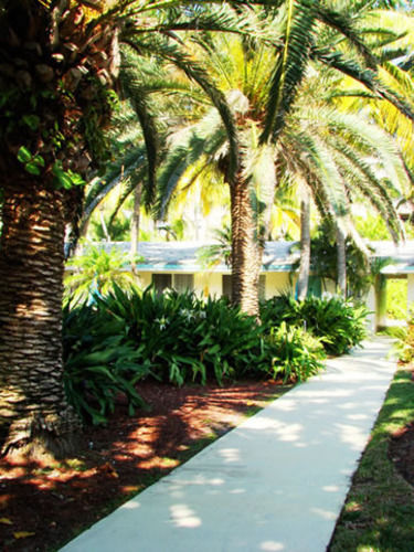 Hotel Silver Sands Key Biscayne