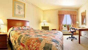 Hilton Garden