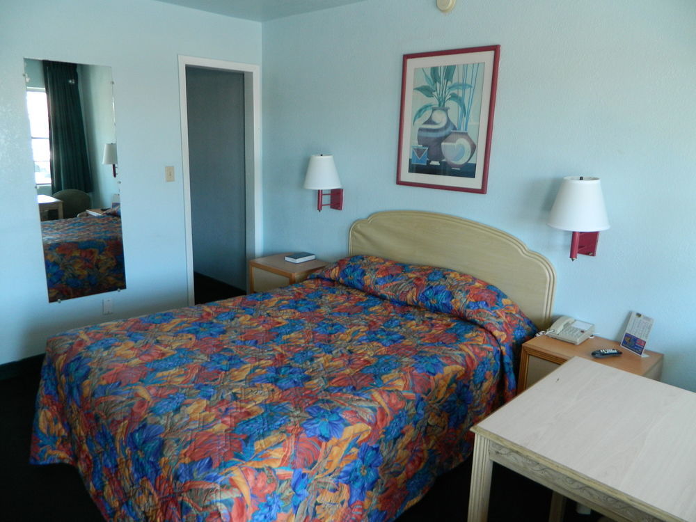 Lion - Motel St. Augustine
