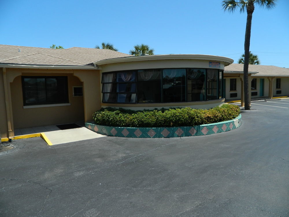 Lion - Motel St. Augustine