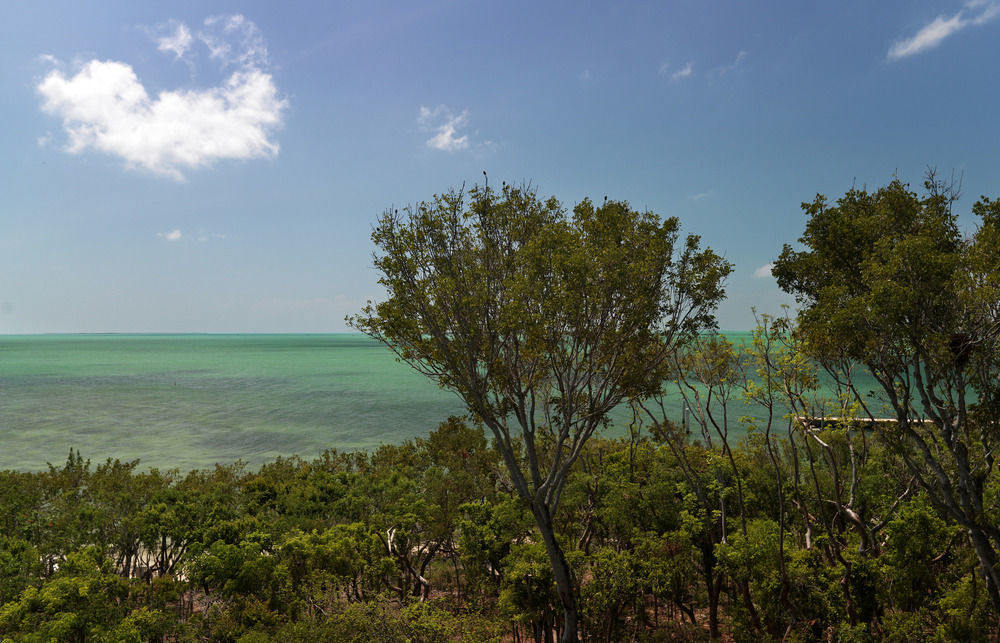 Baker's Cay Key Largo, Curio Collection By Hilton