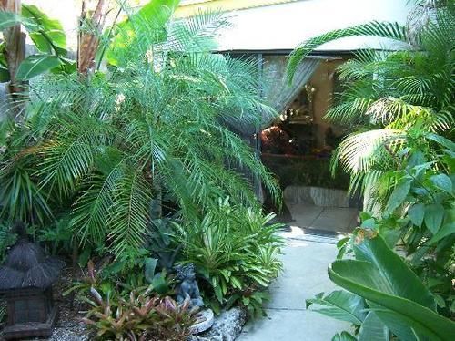 Casa Thorn Bed & Breakfast