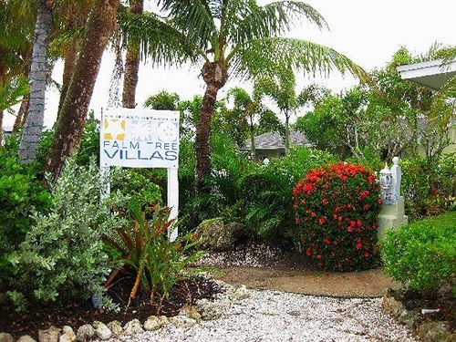An Island Getaway At Palm Tree *