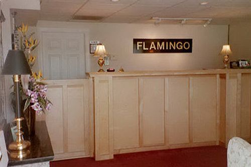 Motel Flamingo & Villas North Naples 2*