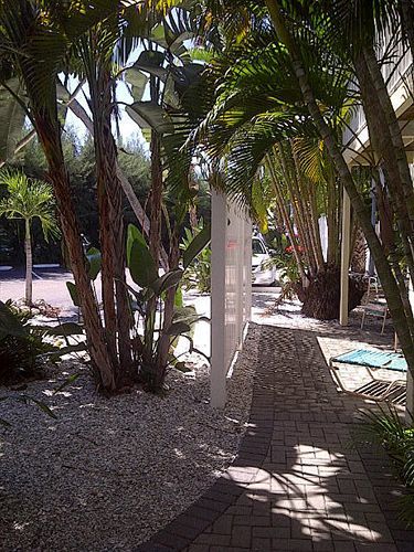 Coquina On The *