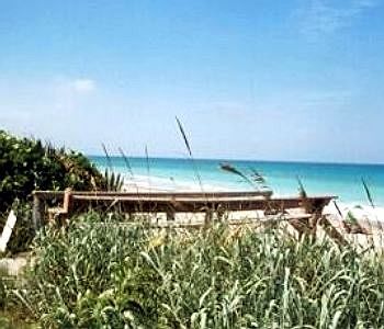 Ocean Front Paradise Motel 3*