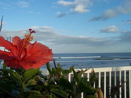 Coral Sands Ormond Beach