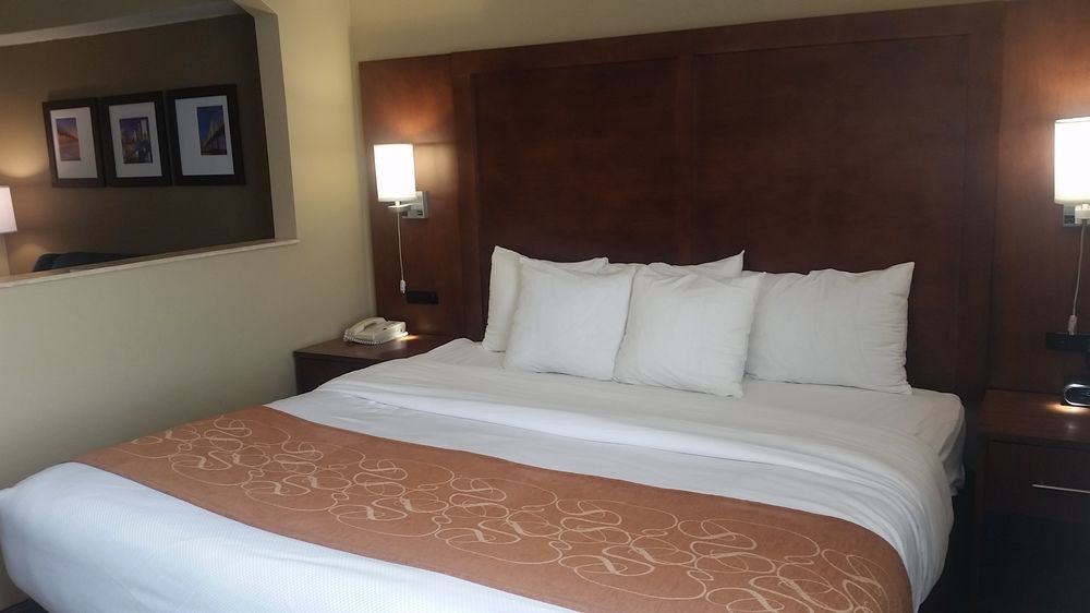 Comfort Baymeadows Near Butler Blvd Hotel
