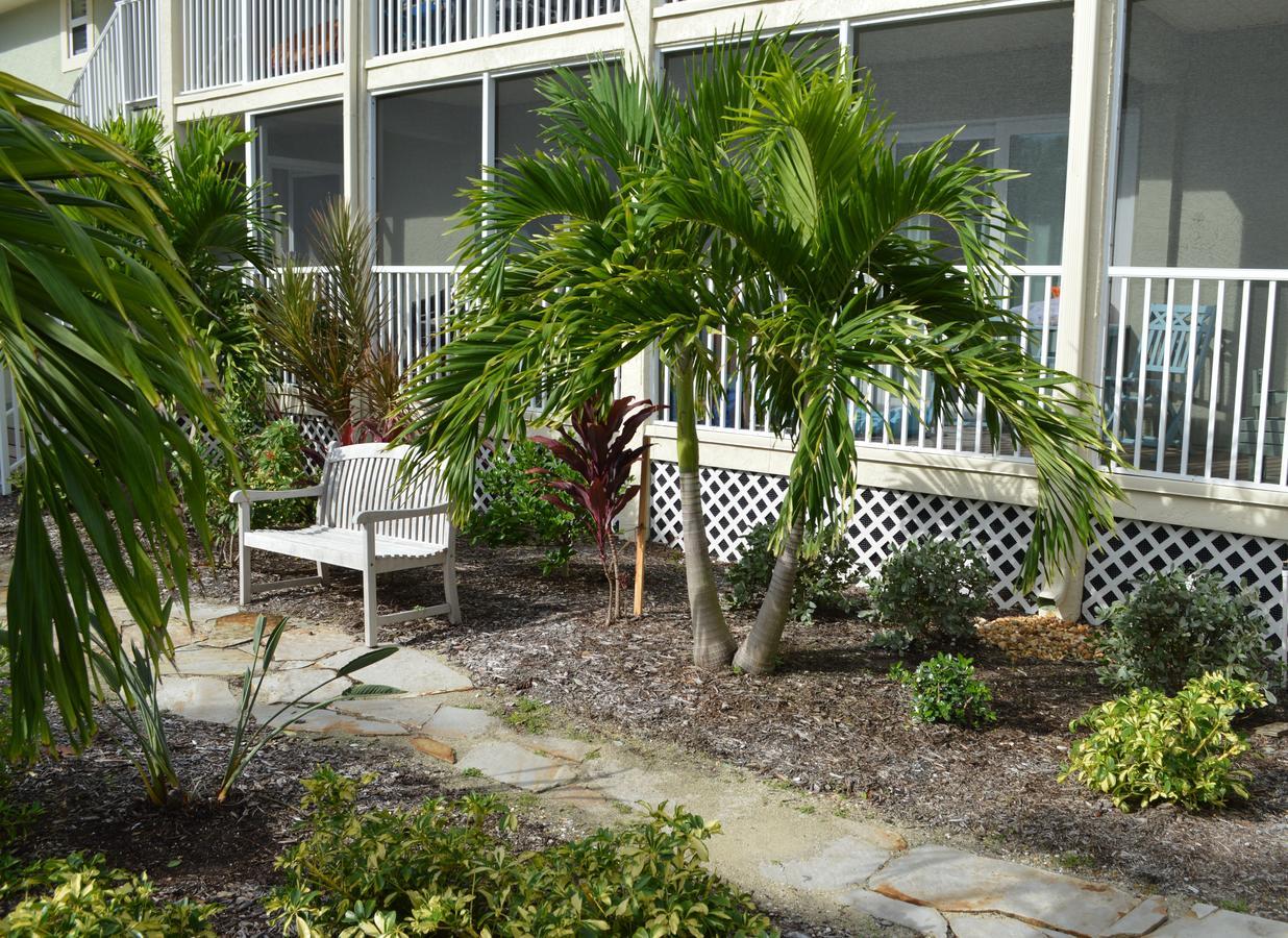 Sea Shells Of Apartment