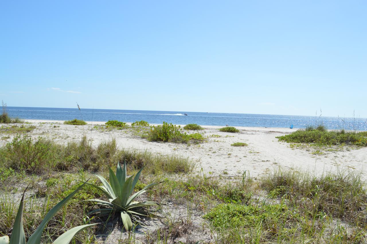 Apartment Sea Shells Of Sanibel