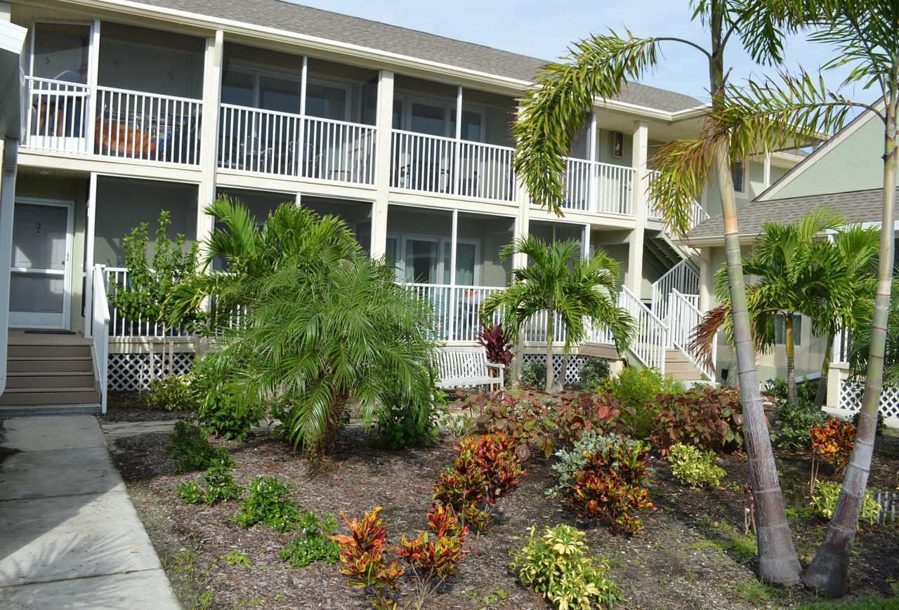 Apartment Sea Shells Of