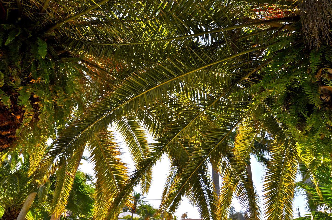 Hotel Twin Palms At Siesta 3*
