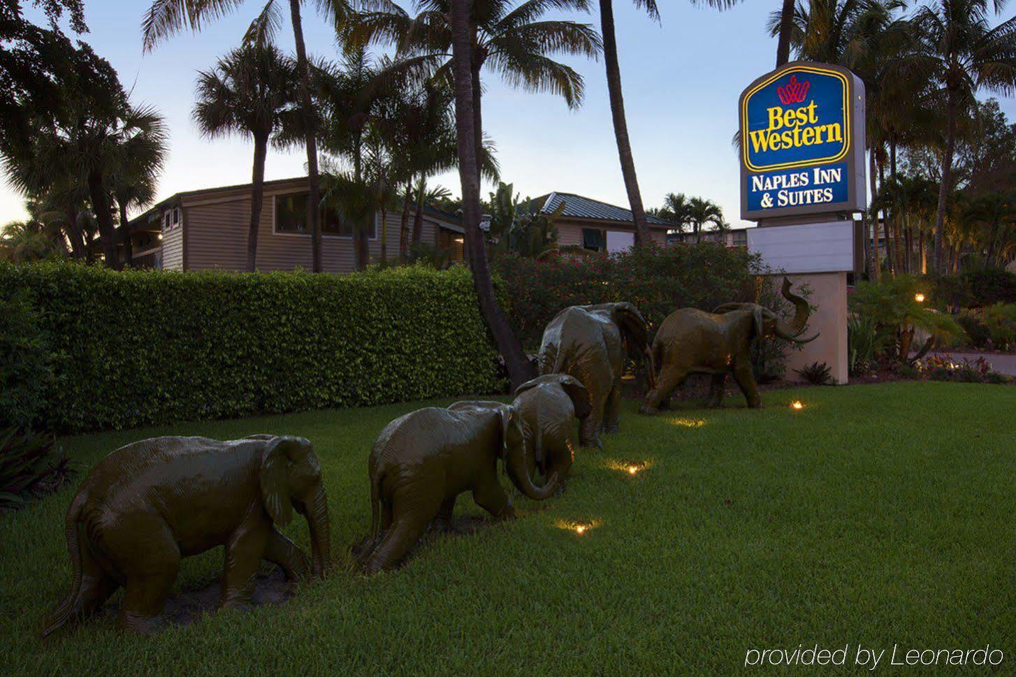 Western & 3* Naples