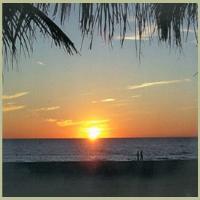 Sol Redington Shores